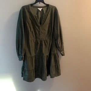 Time and true corduroy dress